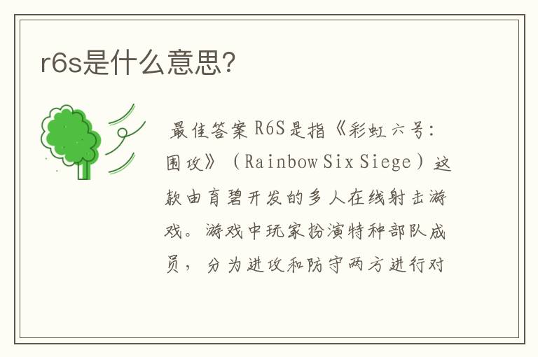 r6s是什么意思？