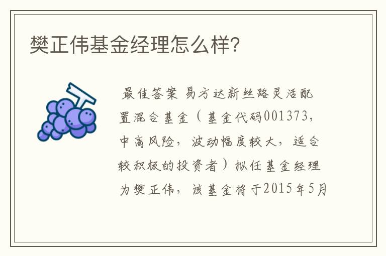 樊正伟基金经理怎么样？