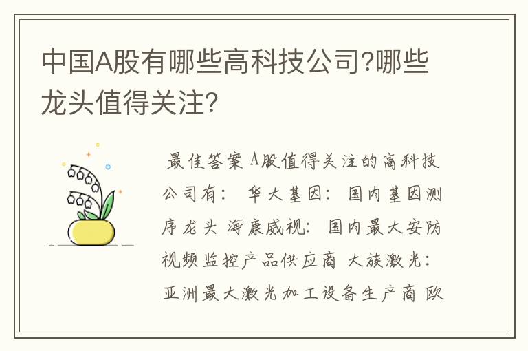 中国A股有哪些高科技公司?哪些龙头值得