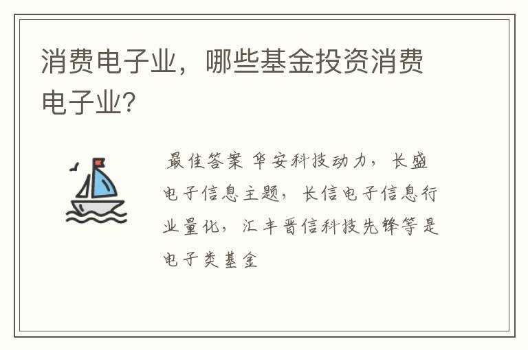 消费电子业，哪些基金投资消费电子业？