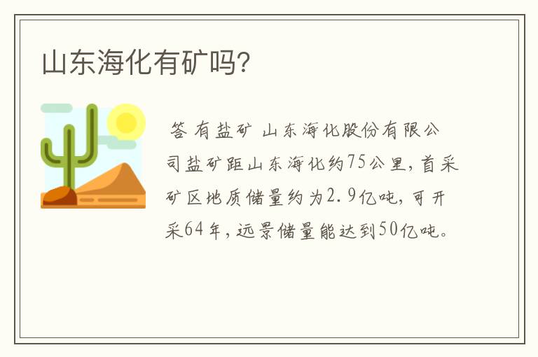 山东海化有矿吗？