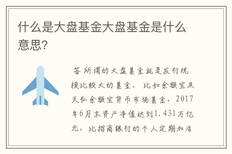 什么是大盘基金大盘基金是什么意思？