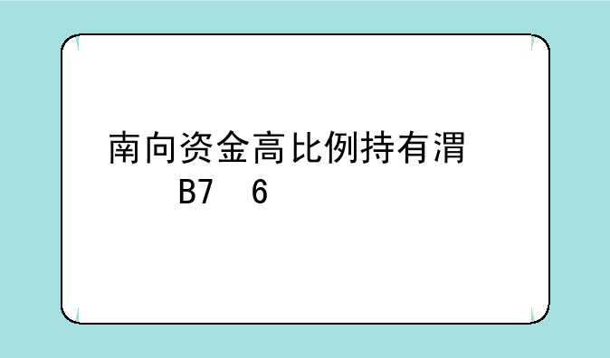 南向资金高比例持有港股名单