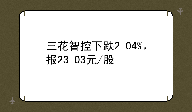 三花智控下跌2.04%，报23.03元/股