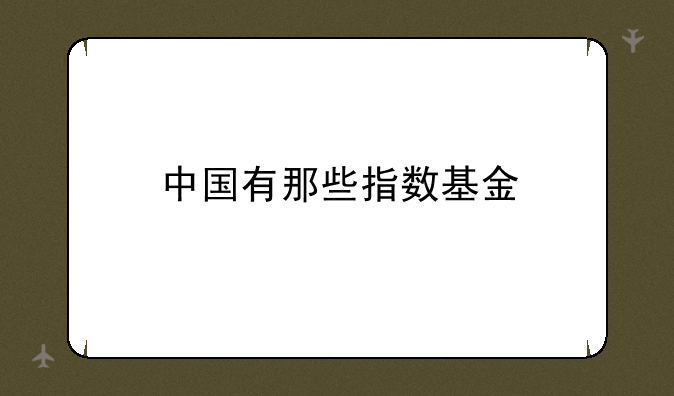 中国有那些指数基金