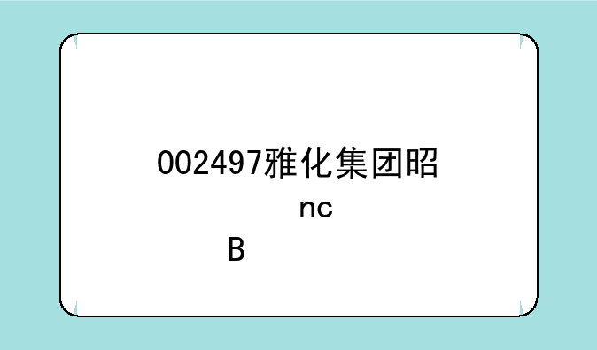 002497雅化集团是大盘股吗