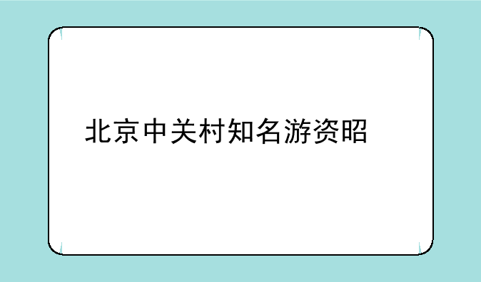 北京中关村知名游资是谁