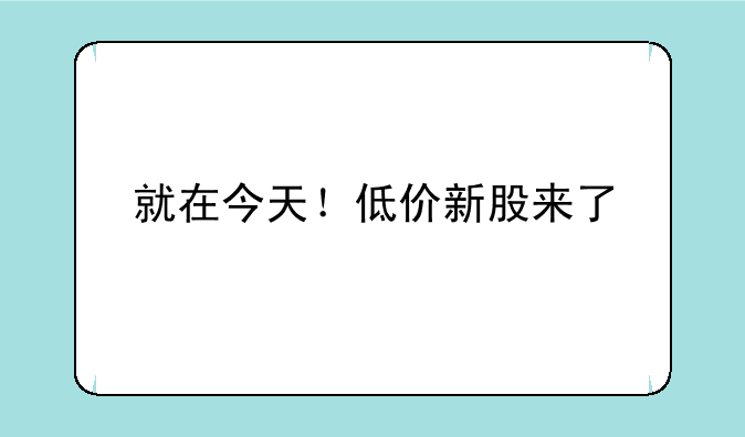 就在今天！低价新股来了