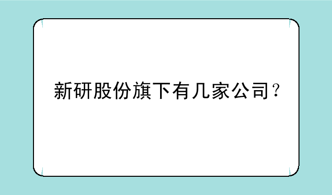 新研股份旗下有几家公司？