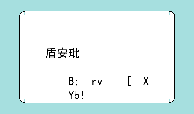 盾安环境股票后期走势分析