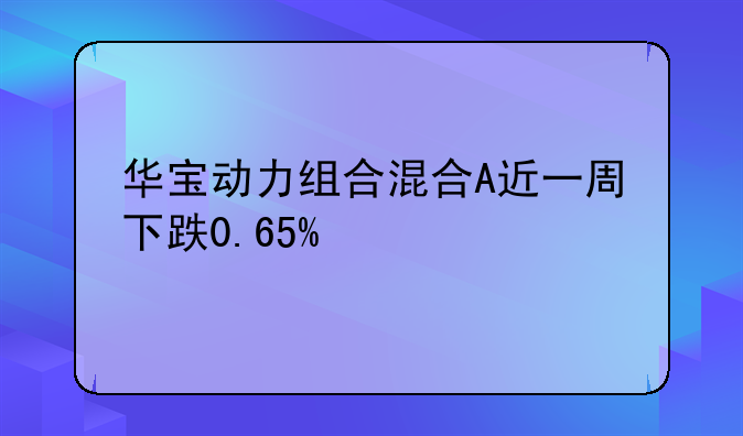 华宝动力组合混合A近一周下跌0.65%