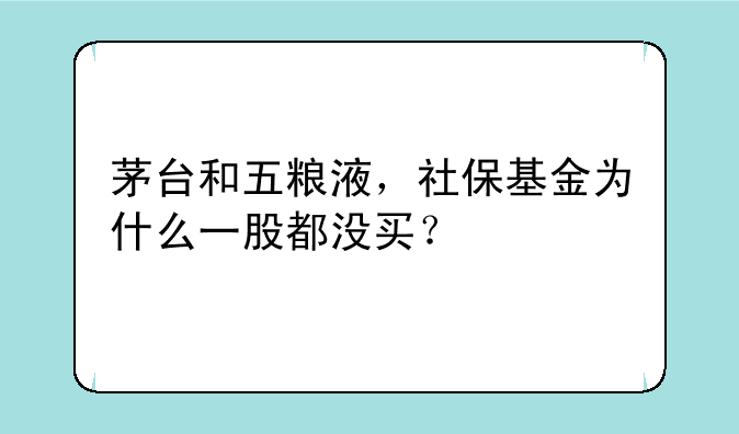 茅台和五粮液，社保基金为什么一股都没