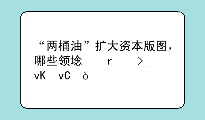 “两桶油”扩大资本版图，哪些领域最受