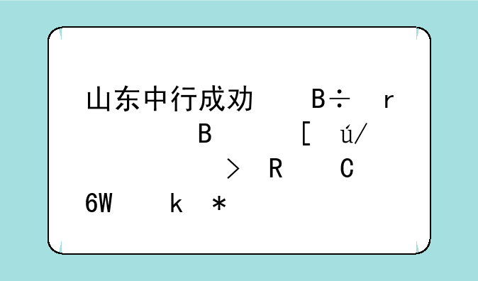 山东中行成功落地全球首例跨平台电子交