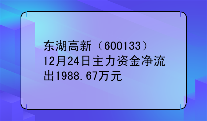 东湖高新（600133）12月24日主力资金净流出