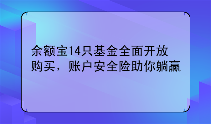 余额宝14只基金全面开放购买，账户安全