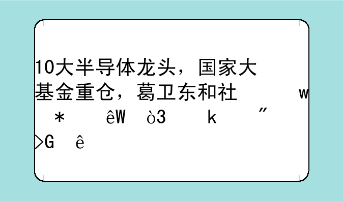 10大半导体龙头，国家大基金重仓，葛卫东和社保抄底，业绩爆发了